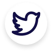 twitter-icon